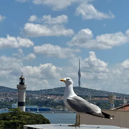 Ipekyolu İstanbul